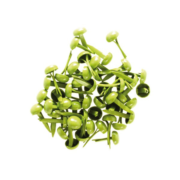 Petits brads vert